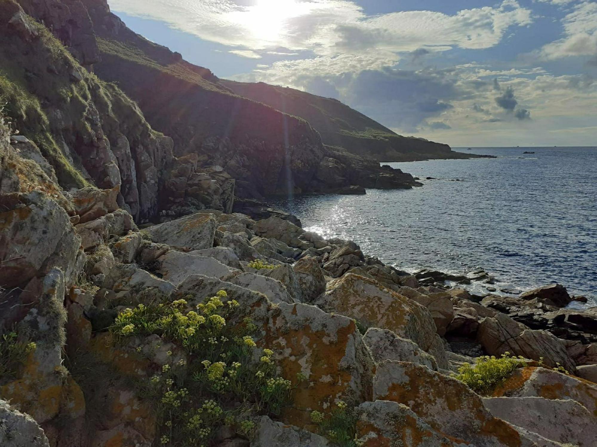 Maison Cosy Vue Mer A Guimaec Bagian luar foto