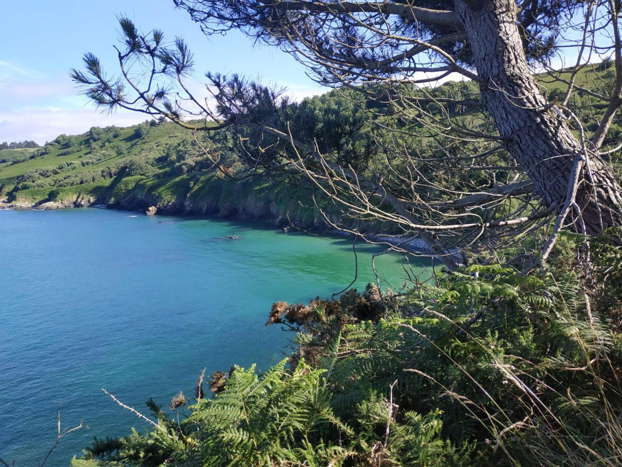 Maison Cosy Vue Mer A Guimaec Bagian luar foto